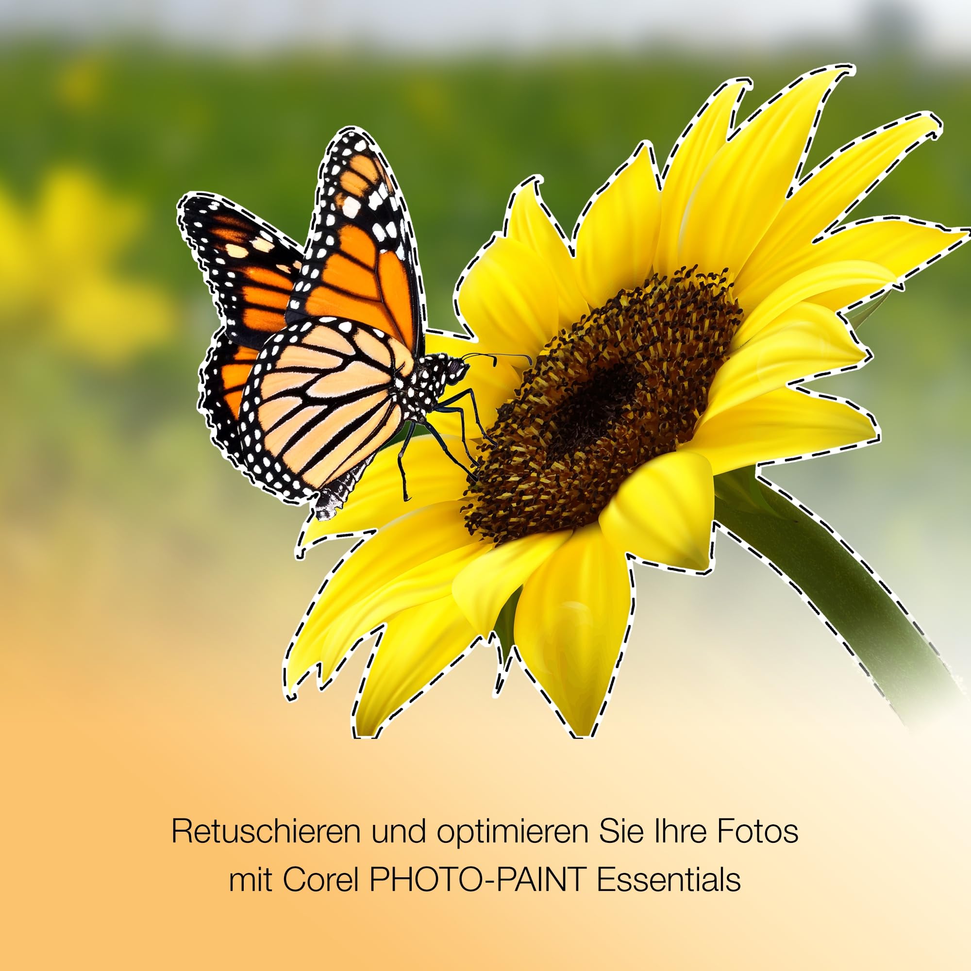 corel-coreldraw-essentials-2024-grafiksoftware-1-ger-t image 4